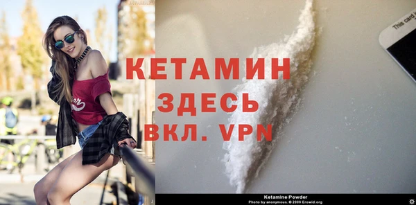 индика Бронницы
