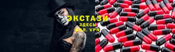 индика Бронницы
