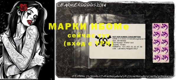 индика Бронницы