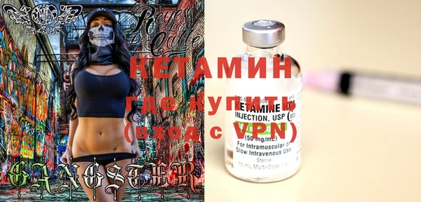 индика Бронницы