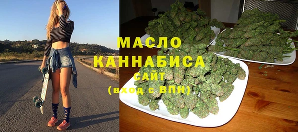 индика Бронницы