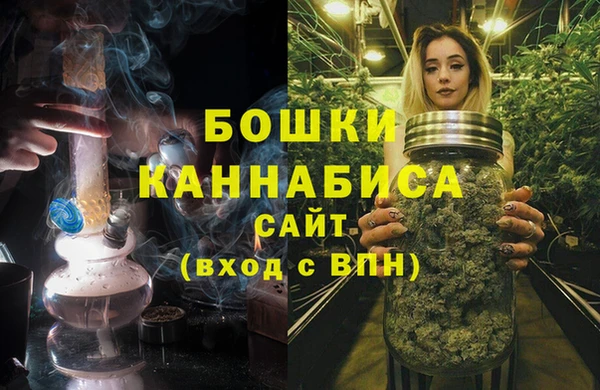 индика Бронницы