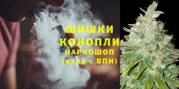 индика Бронницы