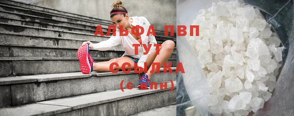 индика Бронницы