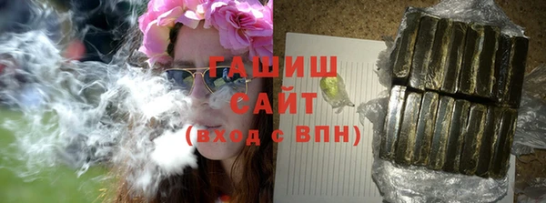 индика Бронницы